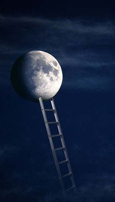 article-prison-of-perfection-moon